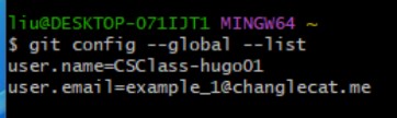 git config输出信息